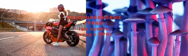 прущие крисы Алексин
