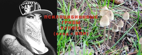 спиды Алексеевка
