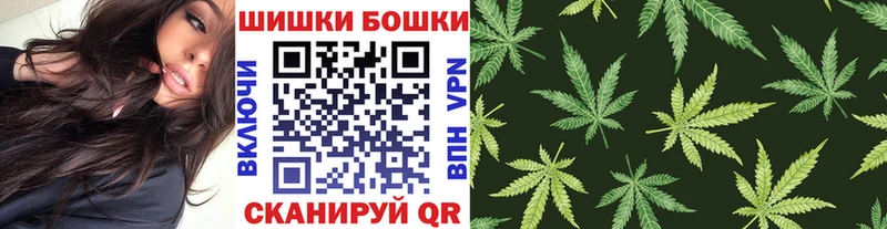 Бошки Шишки планчик  Красноармейск 